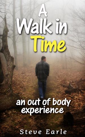 Cover of A Walk in Time