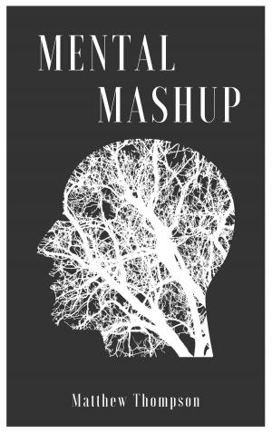 Book cover of Mental Mashup