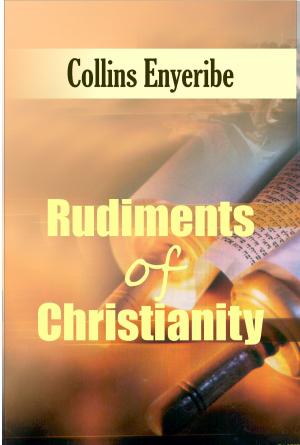 Cover of the book Rudiments of Christianity by Alyson Schafer