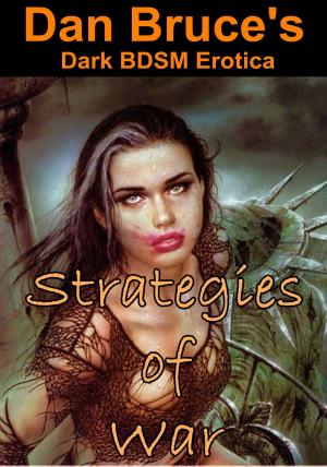 Book cover of Strategies of War