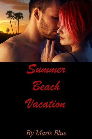 Cover of the book Summer Beach Vacation 1 by Darcy Midnight