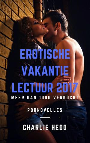 Book cover of Erotische Vakantielectuur 2017