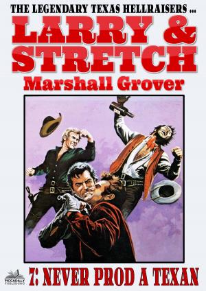 Cover of the book Larry and Stretch 7: Never Prod a Texan by Kirk Hamilton