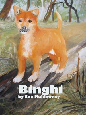Cover of the book Binghi by Anna Skoyles