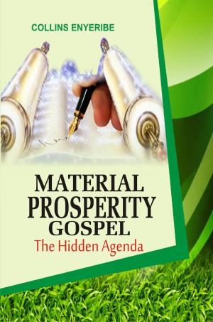 Cover of the book Material Prosperity Gospel: The Hidden Agenda by Collins Enyeribe