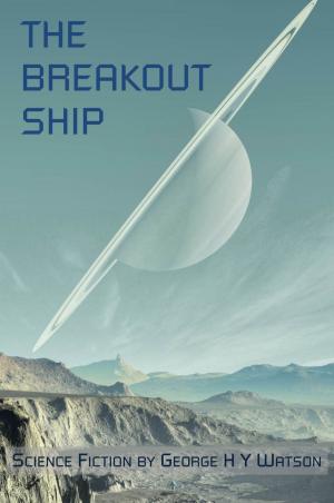 Cover of the book The Breakout Ship by Daniel Devine