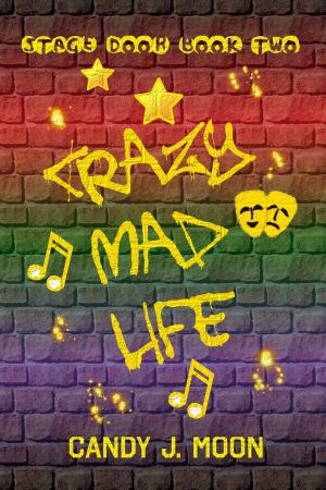 Cover of the book Crazy Mad Life by Marcelo Jucá