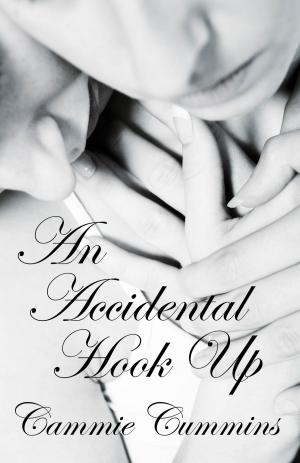 Cover of the book An Accidental Hook Up by Rob Linx