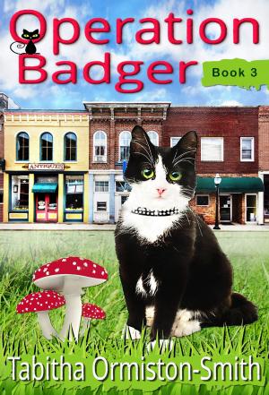 Book cover of Operation Badger