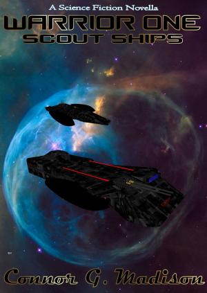 Cover of the book Warrior One: Scout Ships by Chris Pavesic
