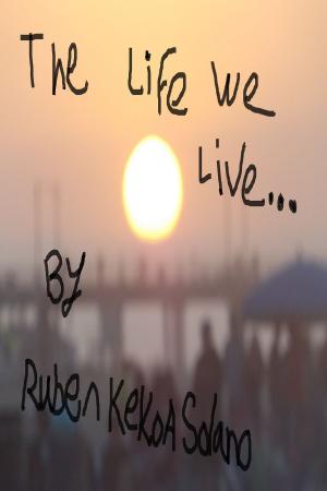 Cover of the book The Life We Live by Piero Boi