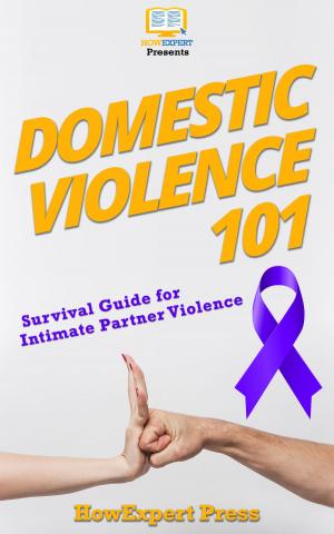 Book cover of Domestic Violence 101: Survival Guide for Intimate Partner Violence