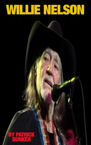 bigCover of the book Willie Nelson by 