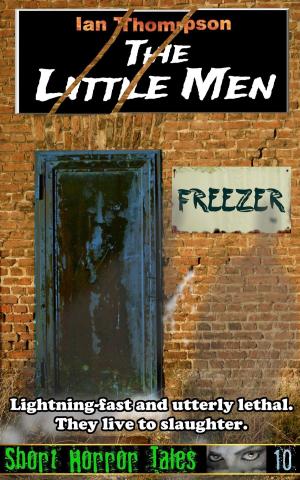 Cover of the book The Little Men by Suzanne Perazzini