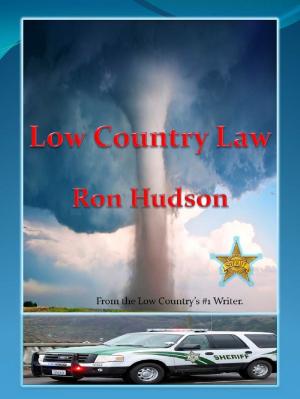 Cover of the book Low Country Law by Breakfield and Burkey