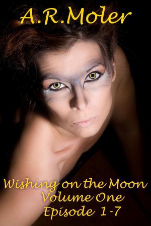 Cover of the book Wishing on the Moon Vol. 1 by A.R. Moler