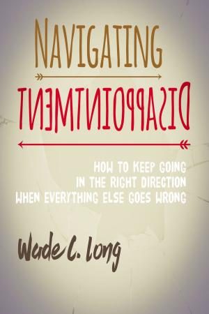 Book cover of Navigating Disappointment