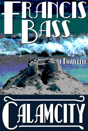 bigCover of the book Calamcity by 