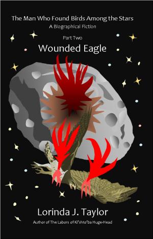 Cover of the book The Man Who Found Birds among the Stars, Part Two: Wounded Eagle by Kay Inglis