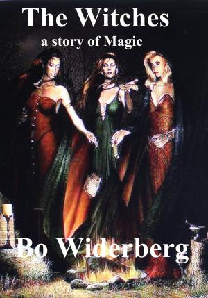 Cover of the book The Witches, a story of Magic by Misty Provencher