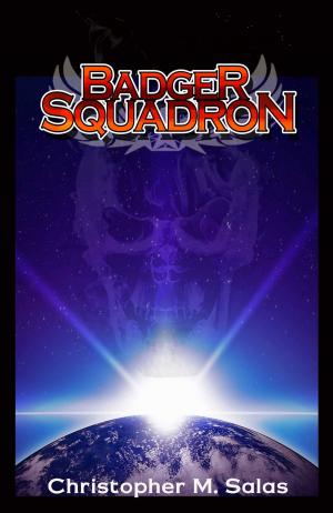 Cover of Badger Squadron