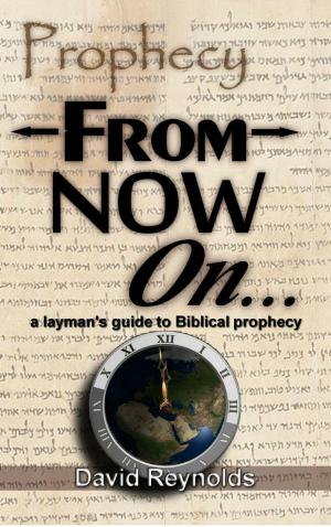 Cover of the book Prophecy: From Now On... (A Layman's Guide to Bible Prophecy) by David Reynolds