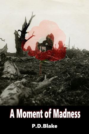 Cover of the book A Moment of Madness by Stafford Battle