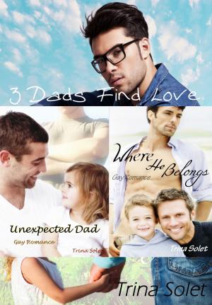 Cover of the book 3 Dads Find Love by Cate Dashwood