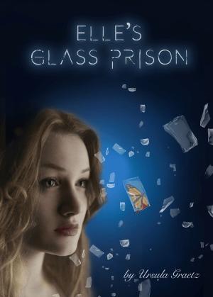 Book cover of Elle's Glass Prison