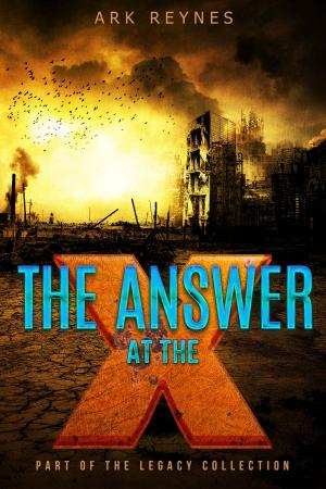 Cover of the book The Answer at the X by Paul L Arvidson