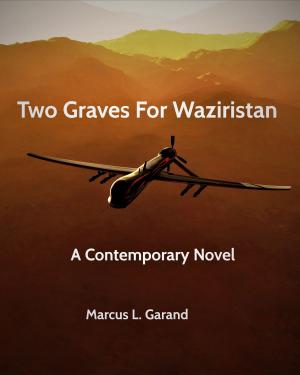 bigCover of the book Two Graves For Waziristan by 