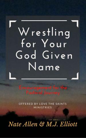 Cover of the book Wrestling for Your God Given Name by Ray Steelman, Sharon Steelman