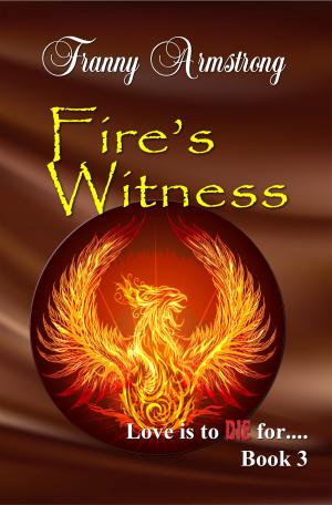 Cover of the book Fire's Witness by Aimelie Aames