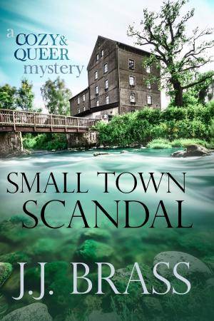 Book cover of Small Town Scandal: A Queer and Cozy Mystery
