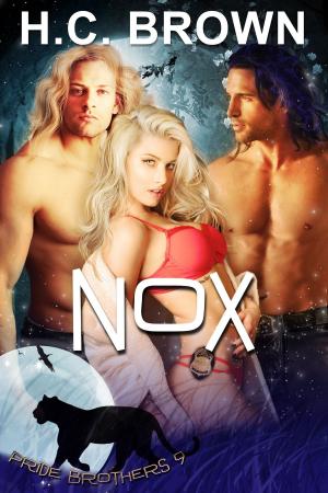 Cover of the book Nox by Jeffery Martin Botzenhart