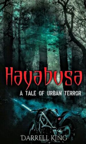 Book cover of Hyabusa: A Tale of Urban Terror