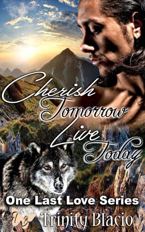 Book cover of Cherish Tomorrow Live Today
