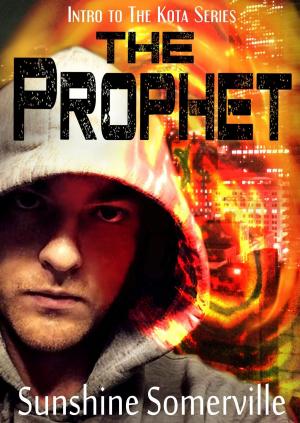 bigCover of the book The Prophet: Intro to the Kota Series by 