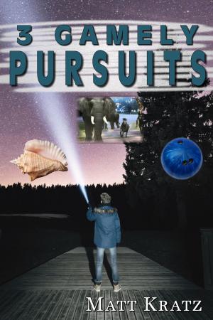 Cover of 3 Gamely Pursuits