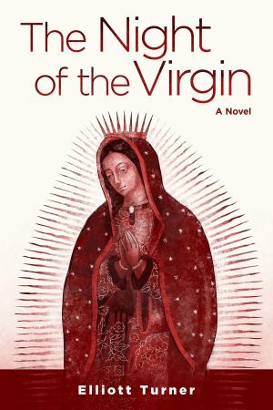 Cover of the book The Night of the Virgin by Jenna Payne
