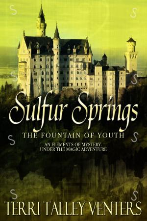 Cover of the book Sulfur Springs by Pat Bertram