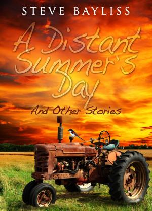 Book cover of A Distant Summer's Day