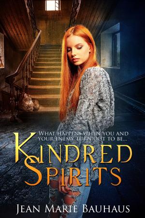 Cover of the book Kindred Spirits by Suzanne Woods Fisher