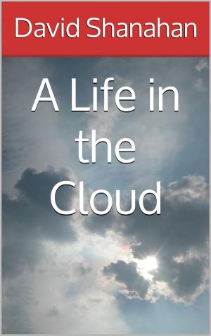 Book cover of A Life in the Cloud