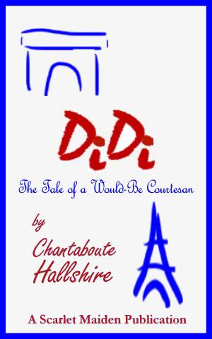 Cover of the book Didi: The Tale of a Would-Be Courtesan by Cari Hislop