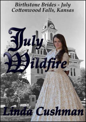 Cover of the book July Wildfire by Stacey Logan