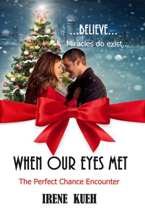 Cover of the book When Our Eyes Met (The Perfect Chance Encounter) by P. Dangelico