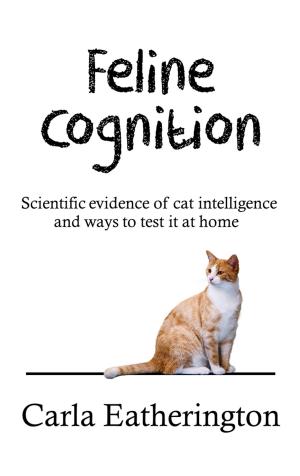 Book cover of Feline Cognition