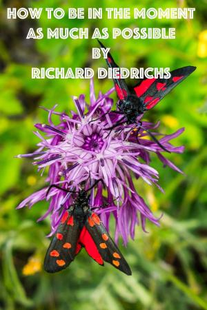 Cover of the book How to Be in the Moment As Much As Possible by Richard Diedrichs