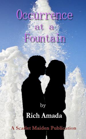 Cover of Occurrence at a Fountain